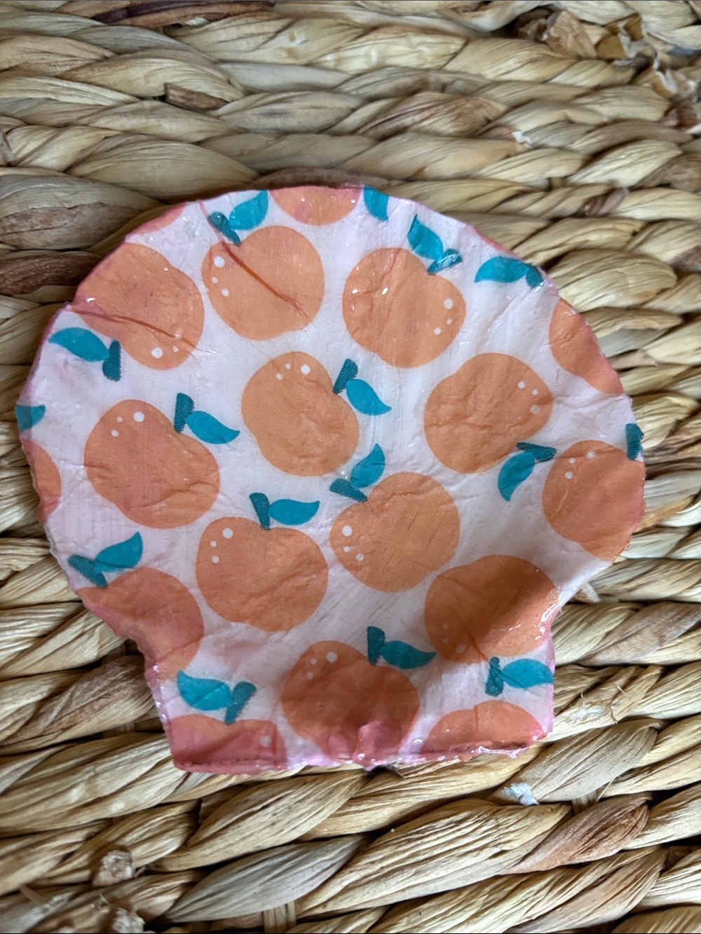 Apple Teacher themed Decorative Shell Accent in Pink and Teal